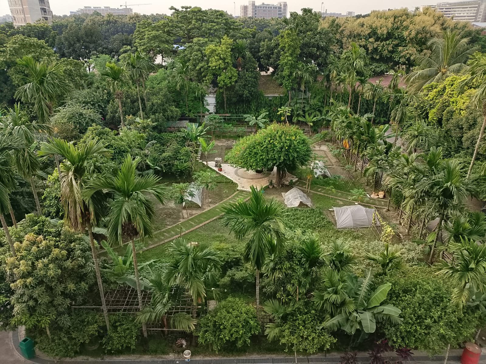 Aerial Garden Nursery Tents at Bulbul Event Spaces